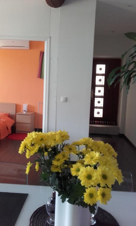 Appartement La Mediterranee Vue Sur Mer Plein Soleil 3 Climatisations Reversibles Port Vendres Exteriör bild